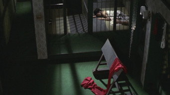 Фея в клітці (1977)