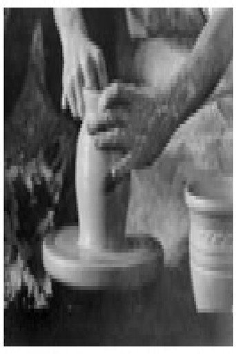 Вранештица