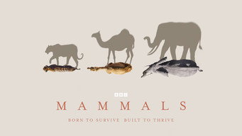 #5 Mammals