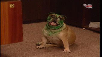 Episode 16 — Episode 16