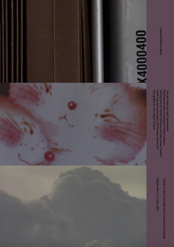 Citations Without Music poster