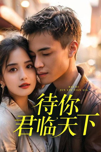 待你君临天下 poster