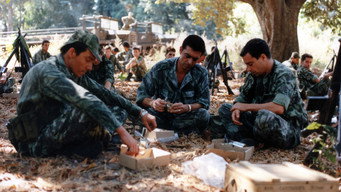 No, or the Vain Glory of Command (1990)