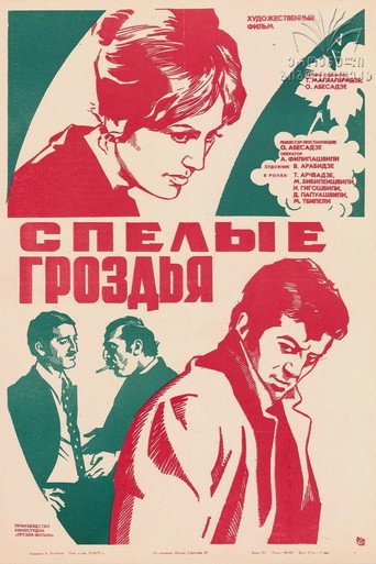 Poster von ანარეკლი