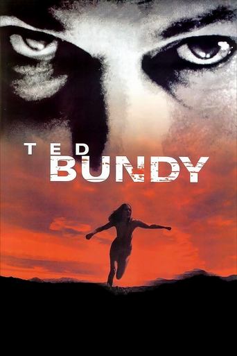 Ted Bundy Poster