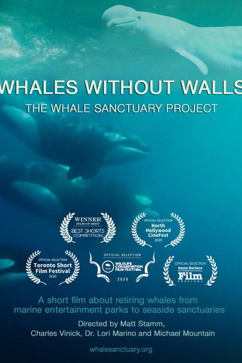 Whales Without Walls (2020)