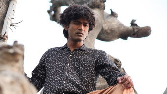 #13 Anegan