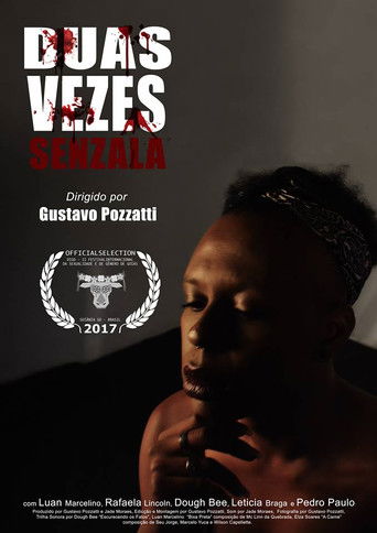 Duas vezes Senzala poster