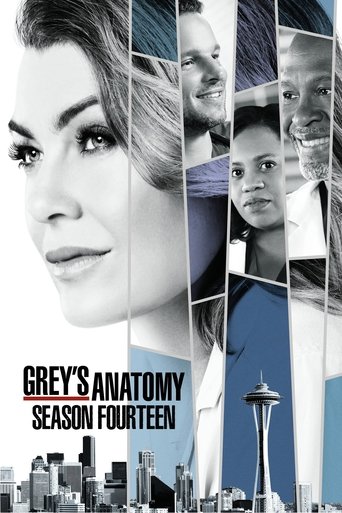 greys anatomy season 6 torrent greys anatomy season 6 torrent