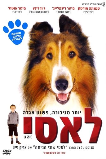 לאסי