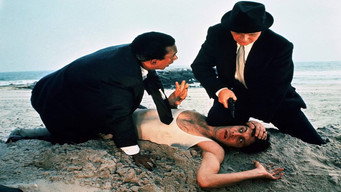 #5 The Detective
