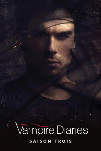 Vampire Diaries - S3 - Épisode 3 : La fin d'une liaison - Affiche