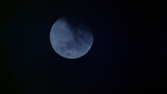 Galeria 3 - Un hombre lobo americano en Londres
