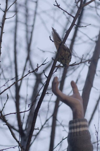 Screaming in Silence