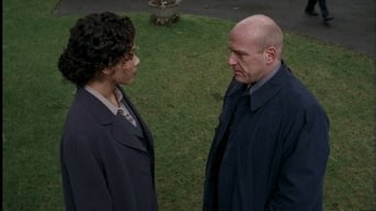 Episódio Episódio 19 da série Millennium