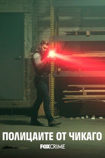 Полицаите от Чикаго (2014)
