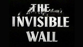 #5 The Invisible Wall