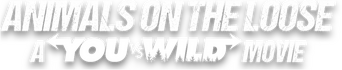 Animals on the Loose: A You vs. Wild Movie logo