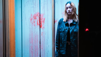 Galeria 2 - Bailarina