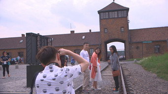 Sauver Auschwitz? (2016)