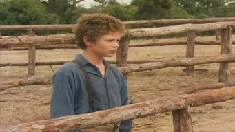 A Fortunate Life (1986)