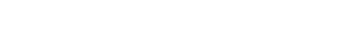 Analog Squad logo
