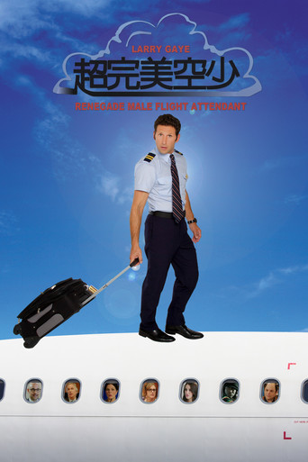 拉里·盖耶：一个叛变的男空乘员的故事 海报