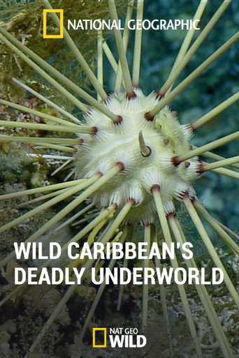 National Geographic: Caribbean's Deadly Underworld (2014)