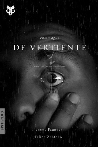 Como Agua de Vertiente galeri 11