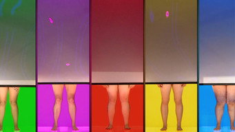 Naked Attraction Denmark (2019- )