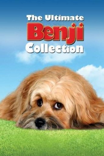 The Benji Collection Poster