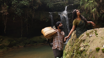 #11 Saayavanam