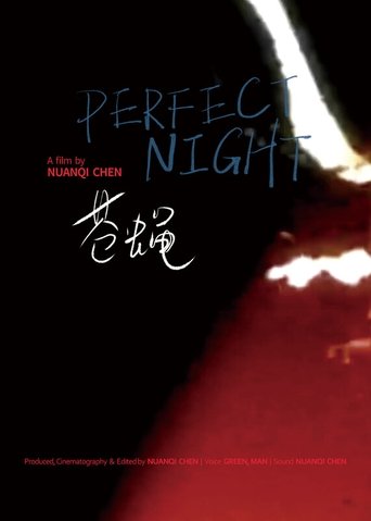 Perfect Night poster