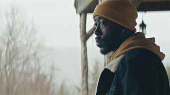 Galeria 3 - Down with the King