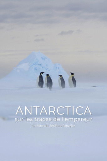 Antarctica, sur les traces de l'empereur (2016)