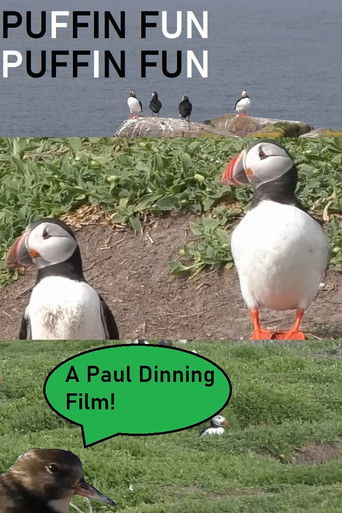 Puffin Fun (2024)