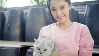 Episode 5 — Episode 5