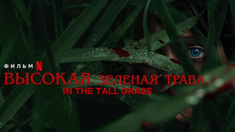 In the Tall Grass backdrop 8