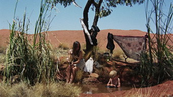 #49 Walkabout