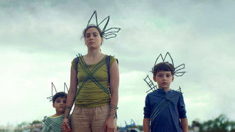 Galeria 4 - Los lobos