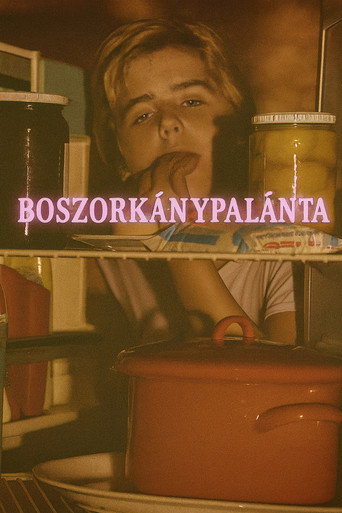 Boszorkánypalánta