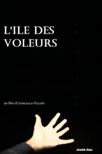 L'ile des voleurs 〈un mystère〉 poster