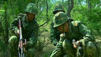 Episode 12 — Episode 12