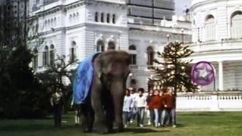 פוסטר של Un elefante en banda
