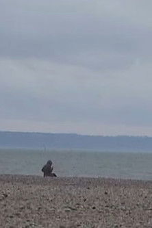 Winter views from Le Havre poster