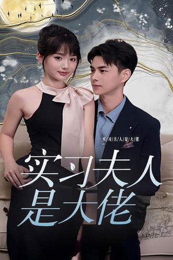 实习夫人是大佬 poster