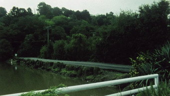 #9 Landscape Suicide