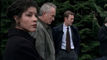 Episódio Episódio 17 da série Millennium