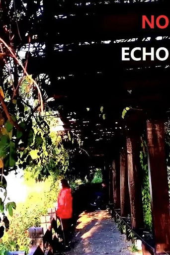 No Echo poster