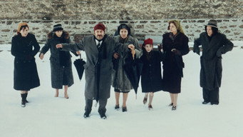 The Travelling Players (1975)